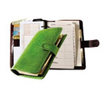 6 ring organizer system with green crocodile-grain leather cover